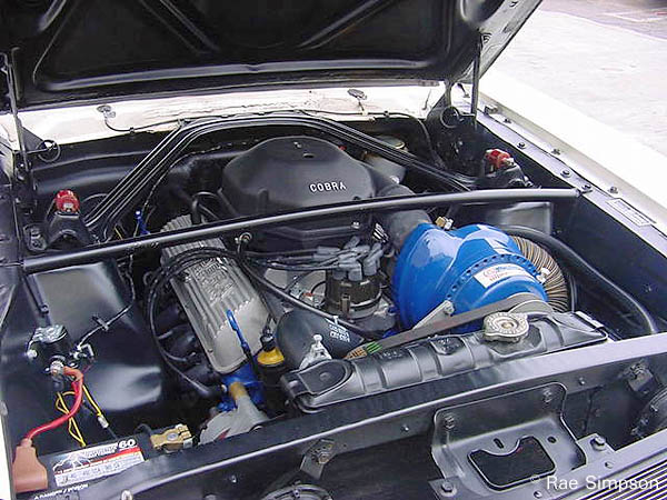 1966 Ford Shelby Mustang GT-350 S engine with Paxton Supercharger