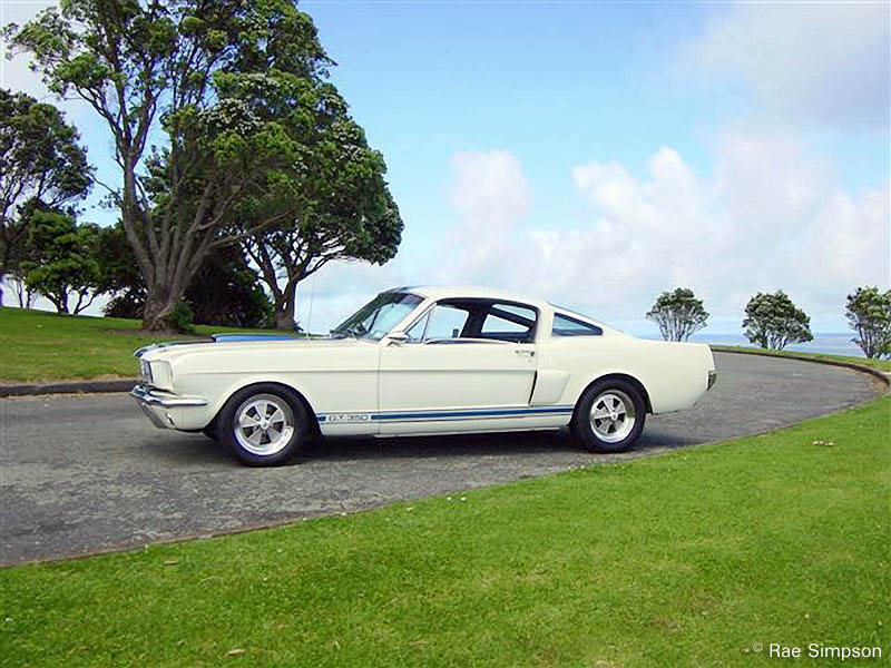 1966 Ford Shelby Mustang GT350 S Rae Simpson of the Taranaki Mustang Club