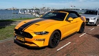 Ford Mustang S6 Ecoboost convertible coupe 2019 fl3q